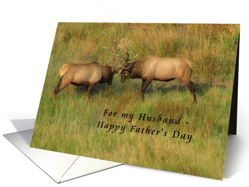 For Husband on Father's Day - Bull Elk card (1298588)