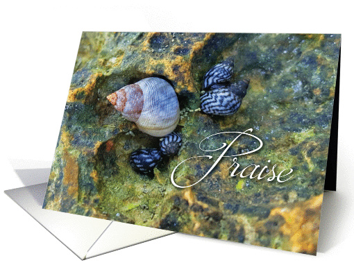 Praise to God for all creation thinking of you card. card (1444718)