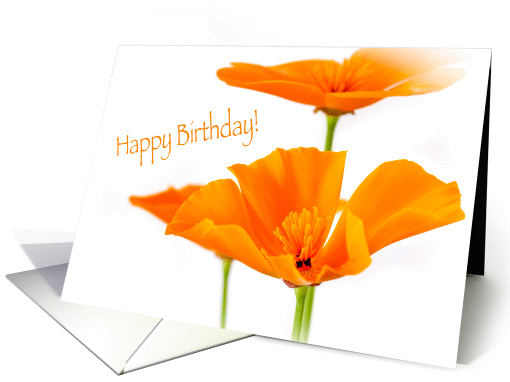 Birthday Poppies card (1379854)