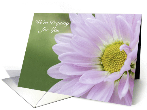 We're Praying for You Floral Daisy card (1405092)
