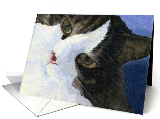 Pretty Calico Cat Happy Birthday card (1215928)
