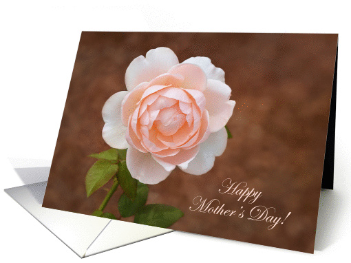 Rose Mother's Day card (1272294)