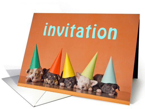 Invitation card with puppy dogs with party hats card (1280592)