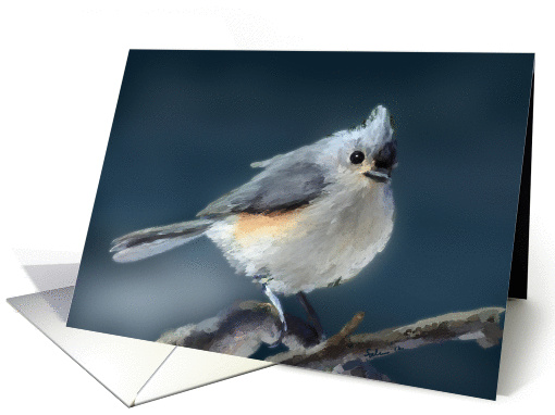 Tufted Titmouse Bird - Blue Orange Feathers - Branch card (1347218)