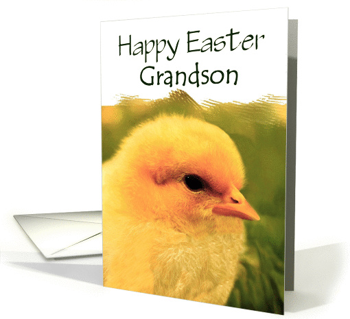 Grandson Happy Easter - Cute Yellow Easter Chick card (1352130)