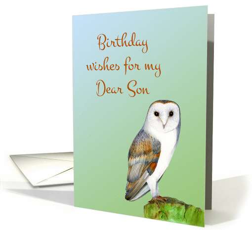 Hand-Painted Watercolor Barn Owl Happy Birthday Wishes for my Son card