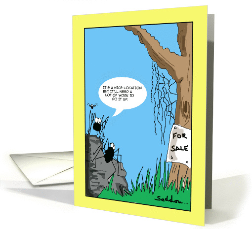 Spiders and Web- Funny House Hunting Comic Cartoon card (1391358)
