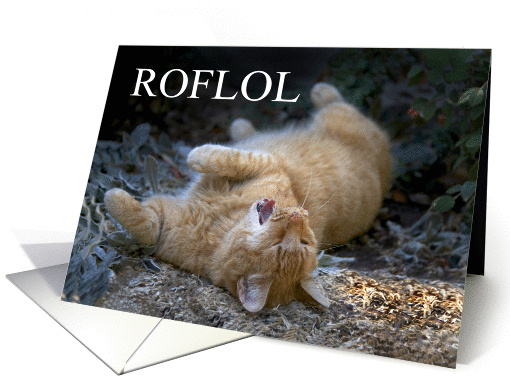 Humorous Cat Birthday Card ROFLOL card (1442438)