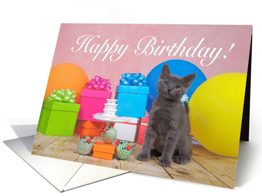 Gray kitten miniature party Happy Birthday card (1481528)