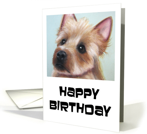 Happy Belated Birthday With A Cute Sad Eyed Terrier Dog card (1463696)