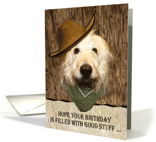 Labradoodle Wearing Cowboy Hat Funny Birthday card (1656420)