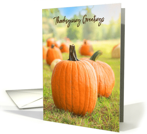 Happy Thanksgiving For Anyone Pumpkin Greetings card (1544368)