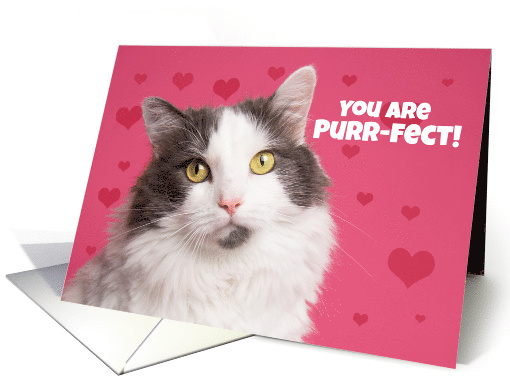 Happy Valentine's Day Cute Cat with Hearts card (1551860)