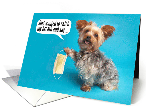 Happy mothers day discount yorkie