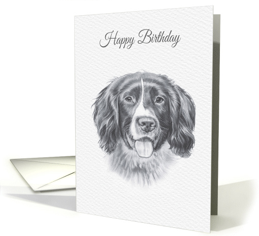 Birthday, Springer Spaniel Dog Drawing card (1528372)