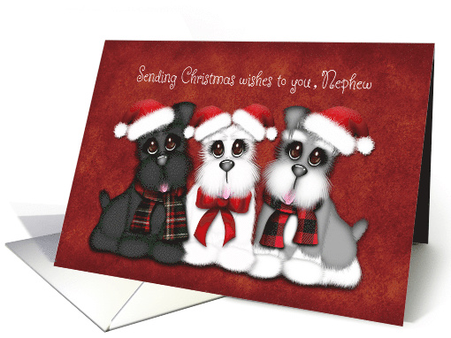 Sending Christmas Wishes to you, Nephew, Three Puppies with hats card