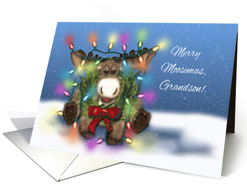 Merry Moosemas for Grandson, Moose Tangled in Christmas lights card