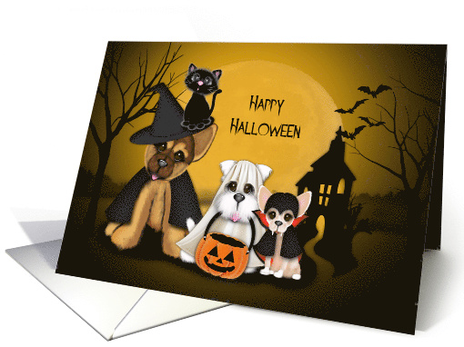 Halloween for Young Child, Puppies Dressed in Costumes, a Cat card