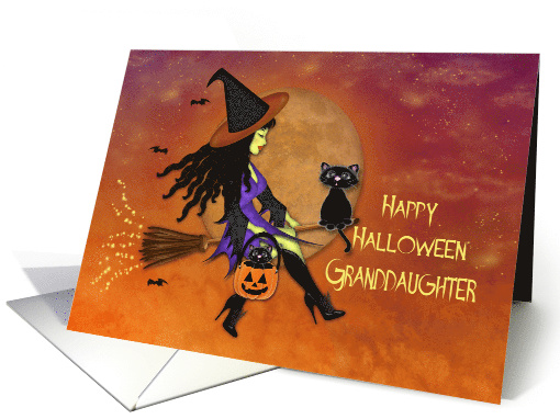 Halloween for a Granddaughter, Pretty Witch Riding a... (1582130)