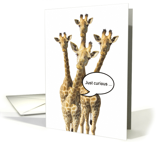 Birthday Getting Older Funny Curious Giraffes card (1725026)
