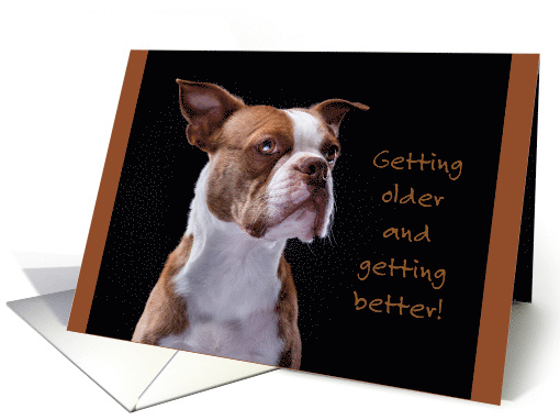 Older and Better Red Boston Terrier Puppy Dog Birthday card (1683476)