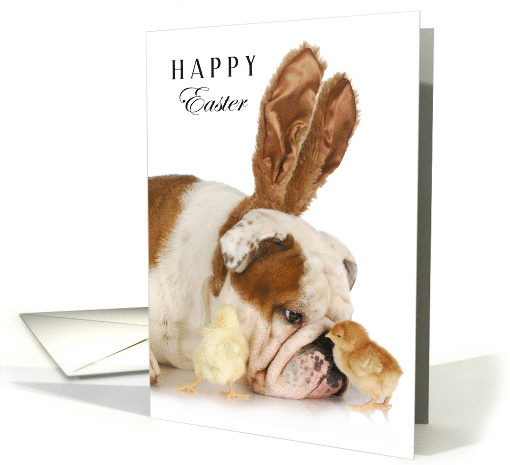 Happy Easter with Bulldog in Bunny Ears and Baby Chicks card (1760682)