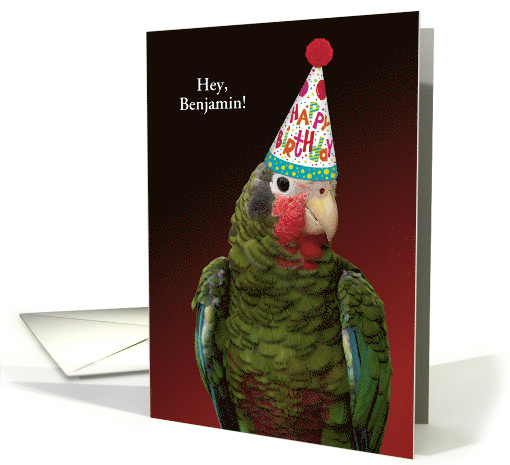 Custom Punny Parrot in Party Hat Birthday card (1608400)