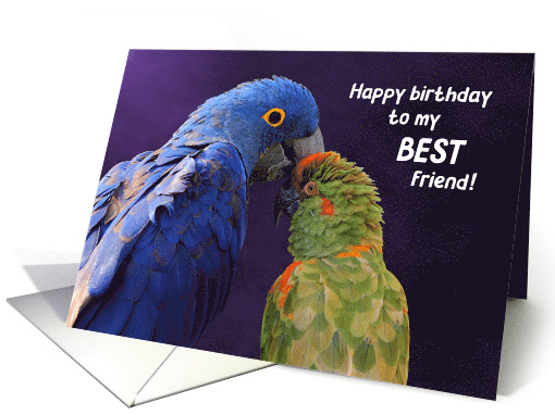Colorful Birds Best Friends Birthday card (1610322)