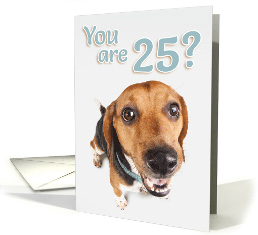 25 Years Old Birthday Brown and Black Beagle on White card (1645208)
