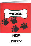 Welcome sale new puppy