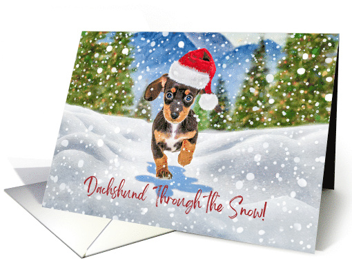 Dachshund through the snow hat deals
