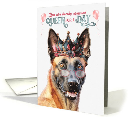 Malinois happy birthday outlet