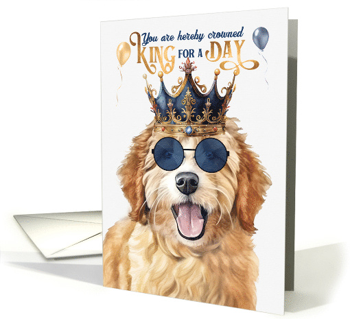 King goldendoodle discount